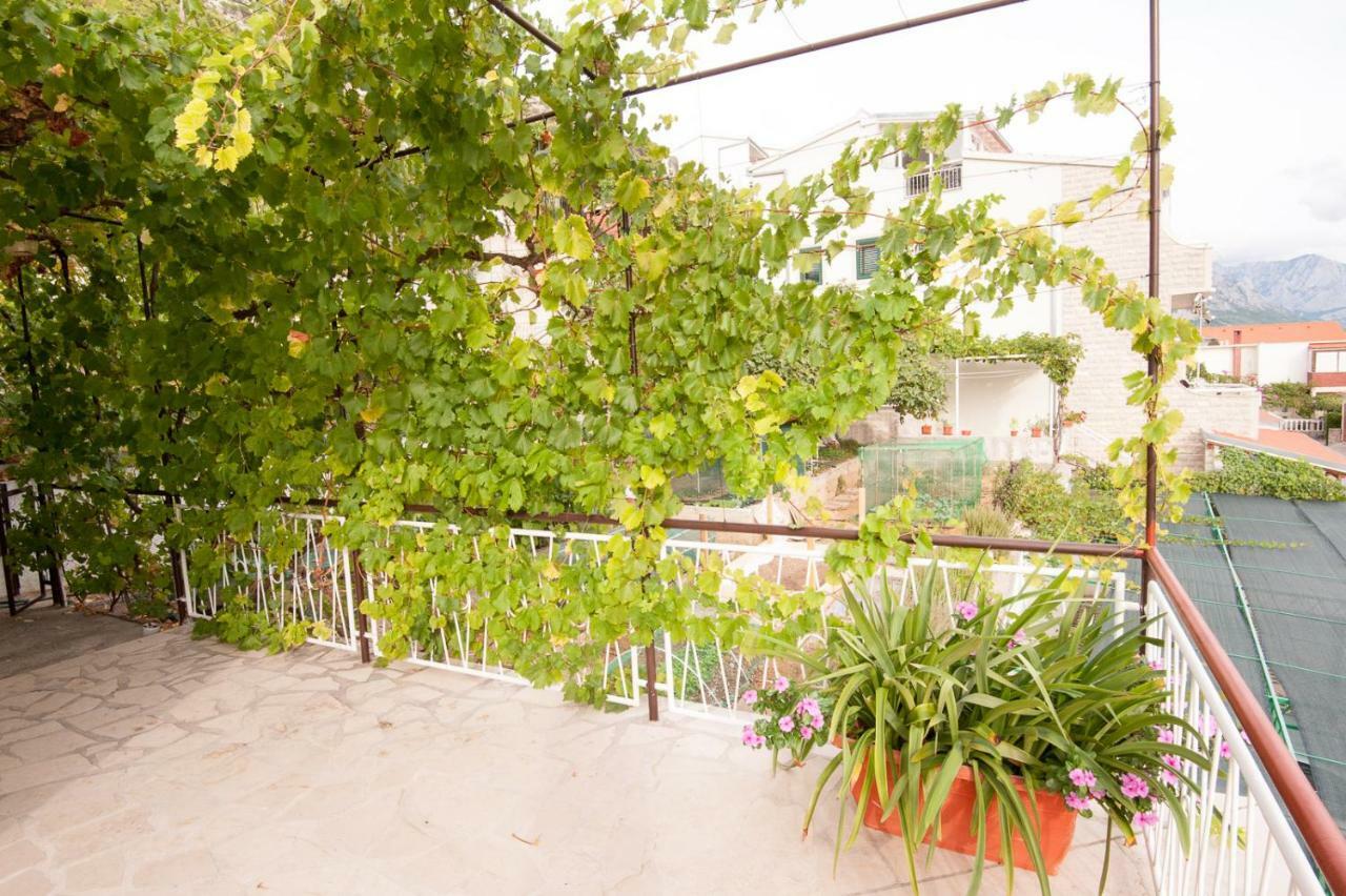 Apartmani Galija 피사크 외부 사진